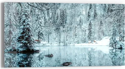 Produktbild von DEQORI Glasbild Echtglas 60x30 cm 'Winterspiegelung' Wandbild Bild modern Deko