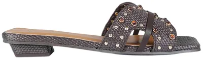 Imagen del producto de Sandalias Noa Harmon SANDALIA ISLA para Mujer