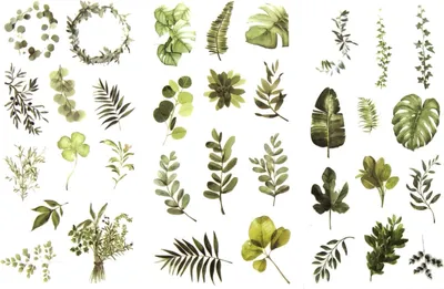 Produktbild von Oblique Unique 34 Sticker Blumen Pflanzen Blätter Aufkleber Vintage Deko Scrapbooking Kinder Basteln