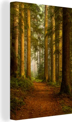 Produktbild von OneMillionCanvasses® - Leinwandbilder - 90x140 cm, Wald - Natur - Bäume - Landschaft - Laub, Wandbilder Kunstdruck Wanddekoration - Foto auf Leinwand - Gemälde auf Holzrahmen  - Wandschmucke - Schlafzimmer