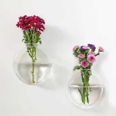 Produktbild von Winkee - Dahlia Wandvasen für Pflanzen 2er Set | Blumentopf für die Wand Hänge-Blumentopf in runder Form | Wall Planter | Glas Propagation Station Hängend | Geschenk zum Muttertag, Geburtstag