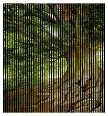 Produktbild von Akustikpaneele mit Digitaldruck Baum01 19 x 2253 x 2400 mm Baum MDF PET-Fasern Wandpaneele Grün Braun 4 Einzelplatten