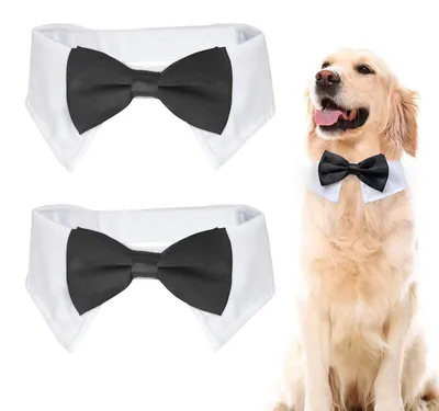 Productafbeelding van Set van 2 hondenstrikjes, verstelbare accessoires voor huisdieren in zwart-wit