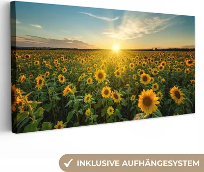Obrázok produktu pre MuchoWow® - Obraz na plátne - Západ slnka - Kvety - Slnečnica - Horizont - Krajina, nástenná maľba, nástenné dekorácie obrazy obývacia izba, 40x20cm