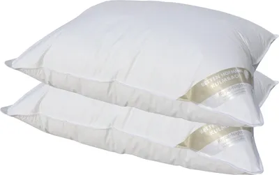 Produktbild von 2 Stück Betten Hofmann Basic Allergiker Kopfkissen Polster 60x80 cm prall 700 g