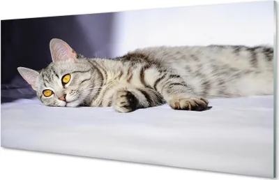 Produktbild von Glasbilder 140x70 Wandkunst liegend Katze