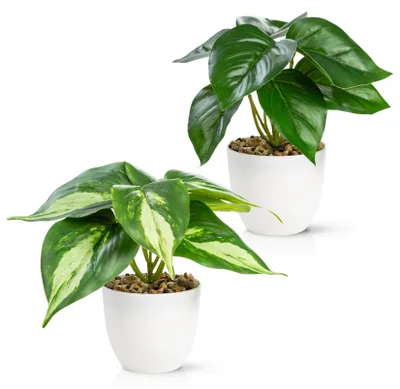 Produktbild von Set mit 2 realistischen Kunstpflanzen (18 cm) in bruchsicheren Melamintöpfen | Kunstpflanzen im Topf | Künstliche Blumen, künstliche Pflanzen