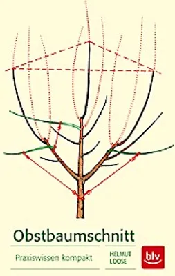 Produktbild von Obstbaumschnitt