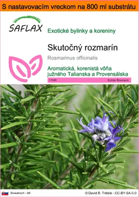 Obrázok produktu pre SAFLAX Garden in the bag - Skutočný rozmarín - Rosmarinus officinalis - 100 Semená - S pestovateľským substrátom v praktickom samostaviteľnom vrecku