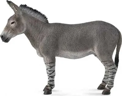 Produktbild von Afrikanischer Wildesel L - Tierfigur
