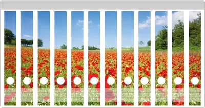 Produktbild von Wallario Ordnerrücken Sticker, selbstklebend für schmale Ordner, 12 Stück, Motiv Mohnblumenfeld- rote Blumen unter blauem Himmel