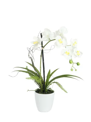 Obrázek produktu pro EUROPALMS Orchidejové aranžmá 1, umělé (82530346)