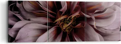 Produktbild von Bild auf Leinwand - Leinwandbild - 3 Teile - Blumenstrauß Künstlerisch Blume - 90x30cm - Wand Bild - Wanddeko - Wandbilder - Leinwanddruck - Bilder - Wanddekoration - Leinwand bilder - CA90x30-5019