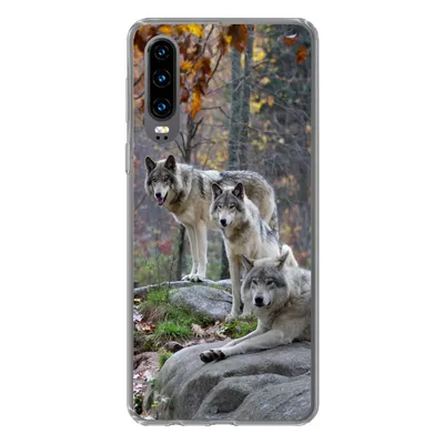 Produktbild von MuchoWow® Handyhülle Schutzhülle Hülle für Huawei P30 Wölfe - Fels - Wald Silikon Softcase Handy Hülle - Kartenbesitzer