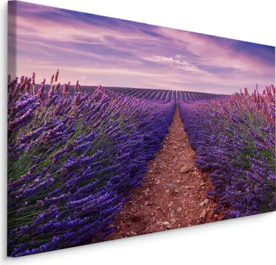 Produktbild von Fabelhafte Canvas LEINWAND BILDER 120x80 cm XXL Kunstdruck Natur Blumen Lavendel Feld
