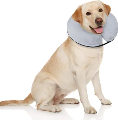 Produktbild von Bencmate Aufblasbare Halskrause für Hunde & Katzen, Hundekragen Leckschutz Hund für Genesung nach Operationen oder Wunden, Die Sicht Nicht Blockiert