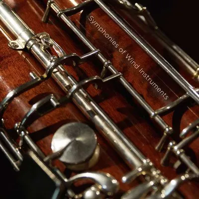 Obrázok produktu pre Paul Hindemith (1895-1963): (Blu-ray Video / Classic)