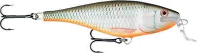 Produktbild von Rapala® Super Shad Rap® Schwimmend - barva RSFH