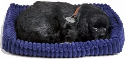 Zdjęcie produktu dla Perfect Petzzz Schwarzer Labrador 96323