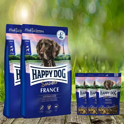 Product packaging for dog food displayed outdoors with a blurred green background.