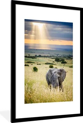 Produktbild von MuchoWow® MuchoWow® Gerahmtes Poster Elefant - Tiere - Landschaft - Sonne - Natur 60x90 cm - Poster mit zchwarzem Bilderrahmen - Dekoration - Wandposter Wohnzimmer - Hochwertig