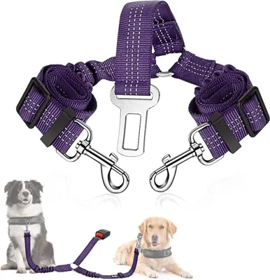 Produktbild von SlowTon Hundegurt Auto 2in1 verhedderungsfreier elastischer Sicherheitsgurt Lila