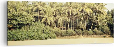 Produktbild von Bild auf Leinwand - Leinwandbild - Einteilig - Natur Strand Palmen - 140x50cm - Wand Bild - Wanddeko - Wandbilder - Leinwanddruck - Bilder - Wanddekoration - Leinwand bilder - Wandbild - AB140x50-4915
