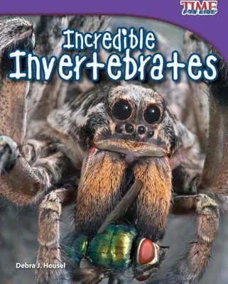 Zdjęcie produktu dla Incredible Invertebrates