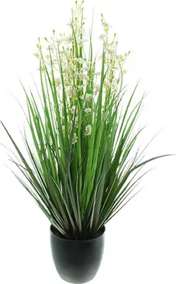 Produktbild von Topfpflanze "Gras" 90 cm hoch, Kunstpflanze, Ziergras, Deko-Pflanze, Deko-Gras