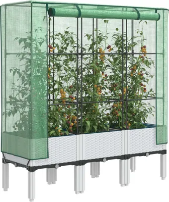 A raised garden bed with a greenhouse cover, containing tomato plants.