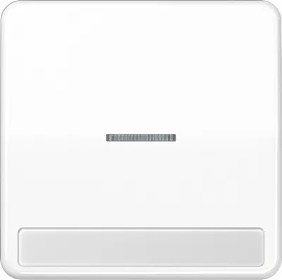 Produktbild von Jung Wippe Licht./Schriftf.aws CD 590 NAKO5 WW CD590NAKO5WW