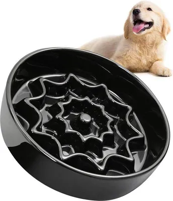 Immagine prodotto di Ciotola in Vetroceramica per cani, per un'alimentazione lenta, nera, per cani di piccola taglia