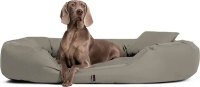 Productafbeelding van tierlando® Orthopedisch hondenbed SAMMY | Duurzaam polyester | Dikke rand - Afmetingen: 170x110 cm | Kleur: 34 Donkerbeige