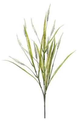 Produktbild von künstlicher Gräserzweig Pennisetum, Lampenputzergras H. 70cm Emerald Kunstblumen