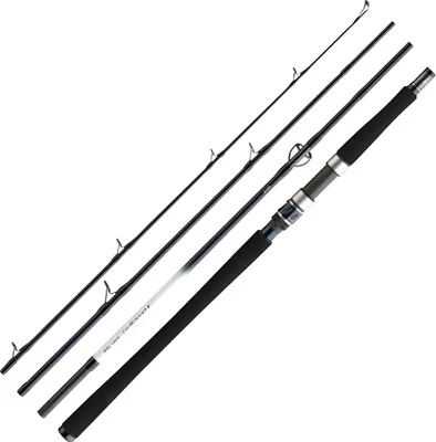 A fishing rod is shown against a white background.