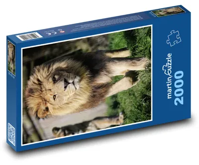 Obrázok produktu pre martinpuzzle – Puzzle 2000 – Lev