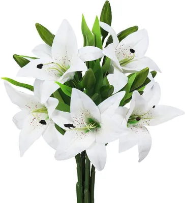 Produktbild von 5er-Pack künstliche Lilien, realistische Haptik, für Hochzeiten, Zuhause, Partys, Garten, Geschäft, Büro – künstliche Lilien aus Kunststoff, weiß