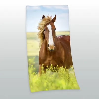 Obrázek produktu pro Velurová osuška Sprchová osuška Plážová osuška Koně 75 x 150 cm