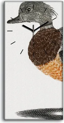 Produktbild von Leinwand Wanduhr Wandkunst Uhr Geräuschlos 30x60 Zeichnung Tier Vogel Kunst - schwarze Hände