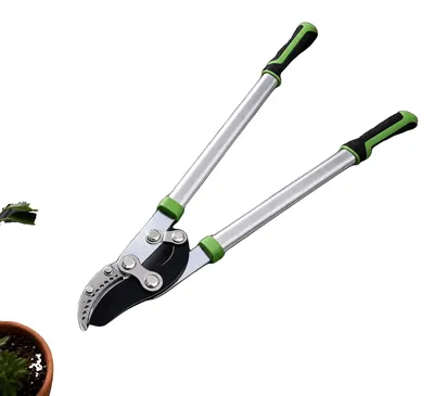 Image de Sécateur, lame en acier SK5, manche ergonomique, vert, 75 cm