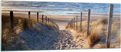 Produktbild von Bilder auf glas - Meer Strand Düne - 140x50cm - Glasbilder - Wandbilder - Kunstdruck - zum Aufhängen bereit - Wanddekoration aus Glas - Glas Bilder - Wandbild auf Glas - Einteilig - GAB140x50-3612