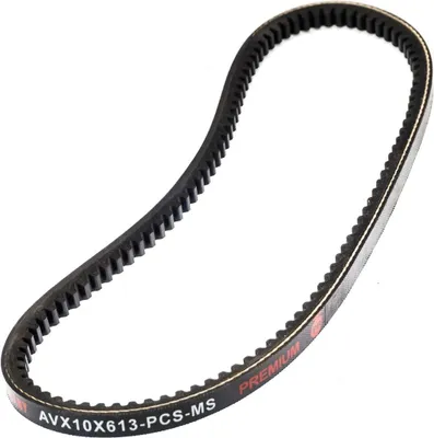 Image de Courroie trapézoïdale MS AVX-10X613-PCS-MS pour AUDI 80 B2 berline (811, 813, 814, 819, 853)