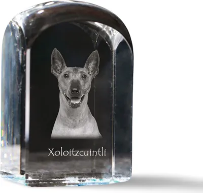 Immagine prodotto di Art-Dog Fermacarte – Xoloitzcuintle