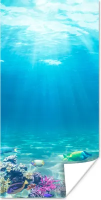 Produktbild von MuchoWow® Poster Unterwasserwelt - Meerestiere - Wasser - Korallen - Blau 60x120 cm - Wandschmuck