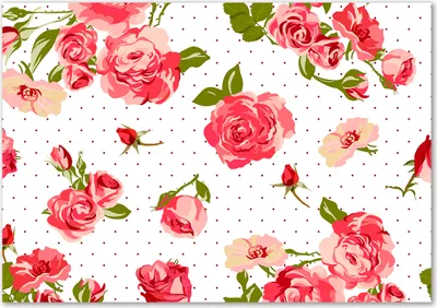 Produktbild von Tulup® Glas-Bild - 100 x 70 - Wandbild aus Glas - Wandkunst - Wandbild hinter gehärtetem Sicherheitsglas - Blumen & Pflanzen - Rosen - Rosa