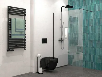 Produktbild von Jungborn Walk In SETTE 90 cm Profilfarbe schwarz Klarglas mit schmutzabweisende Glasbeschichtung