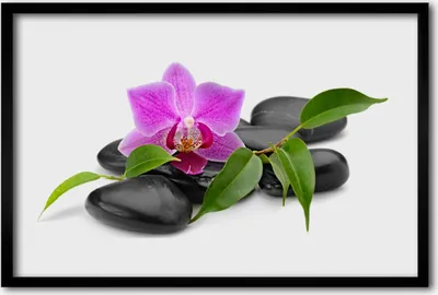 Produktbild von Bild 60x40 MDF-Rahmen Wandkunst Orchideen-Blumen-Kunst