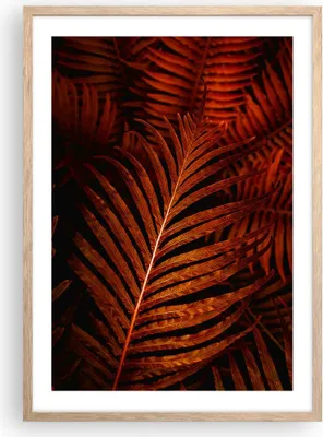 Produktbild von Gerahmtes Poster - Rahmen in heller Eiche - Rot Blätter Palmen - 50x70 cm - Wand Bild - Wanddeko - Wandbilder - Kunstposter - Wandposter - Bilderrahmen - Bilder - Kunstdruck - P2NPA50x70-4816
