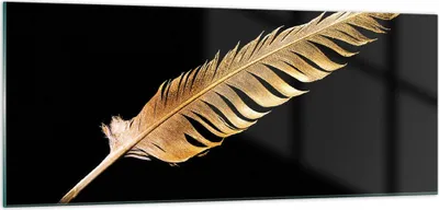 Produktbild von Bilder auf glas - Einteilig - Golden Feder Schwarz - 100x40cm - Glasbilder - Wandbilder - Bilder - zum Aufhängen bereit - Wanddekoration aus Glas - Glas Bilder - Wandbild auf Glas - GAB100x40-4887
