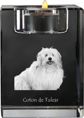 Produktbild von Coton de Tulear, Baumwollhund - Kerzenhalter mit Hundefoto, Teelichthalter aus Kristall, personalisiertes Geschenk der Marke Art-Dog